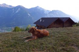 Sitzplatz Bergsicht Hund Wallis